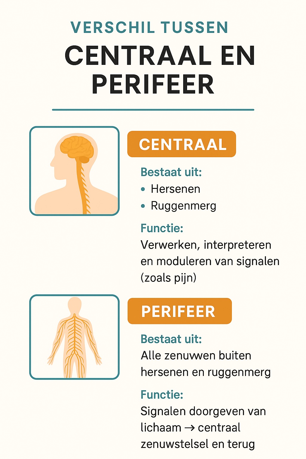 sensitisatie-bij-chronische-pijn-centrale-perifere-sensitisatie